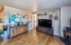 a living room with a large television and a fireplace at Nice Home In Ask With Wifi in Ask i Nordhordaland