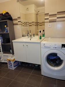 a bathroom with a washing machine and a sink at Repos chez l habitant in Rennes