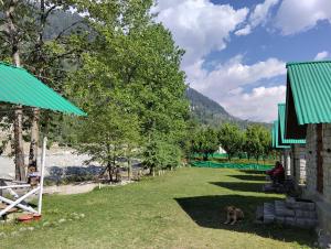 a person and a dog sitting on the grass near a lake at Ambika Campaign Huts in Manāli