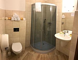y baño con ducha, aseo y lavamanos. en Pensjonat BELVEDERE, en Szczyrk