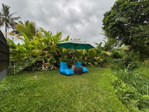 two chairs and an umbrella in the grass at Casa Vella Cottages by AGATA in Bedugul +9 photos
