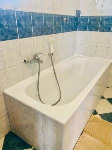 a bath tub with a shower in a bathroom at Levendula apartman in Kehidakustány +3 photos