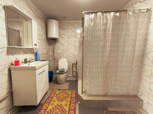 a bathroom with a shower with a sink and a toilet at Nukura in Bokonbayevo