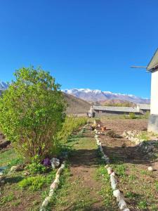 a row of stones around a tree in a field at Miyar Farmhouse in Ak-Say