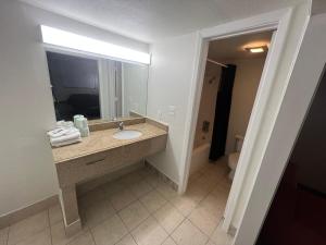 a bathroom with a sink and a mirror and a toilet at Skylite Inn in Austin