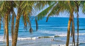 a beach with palm trees and people in the water at brun & browns in Matara