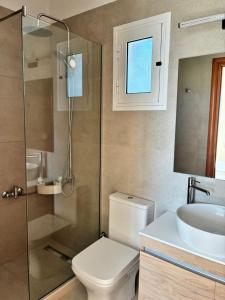 a bathroom with a toilet and a sink and a shower at Villa Elizabeth in Skala +21 photos