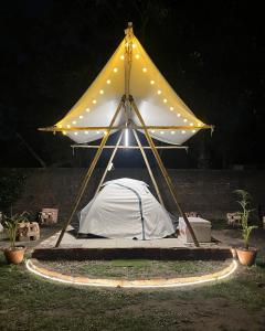 a white tent with lights on top of it at Canopy Haven in Siliguri +5 photos