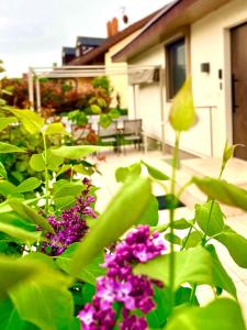 a garden with purple flowers and green leaves at BlackForest 22 in Binzen