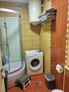a bathroom with a washing machine and a shower at Ravena in Palić