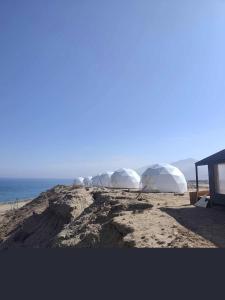 a group of tents sitting on the beach at AK chatyr in Tong