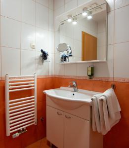 a bathroom with a sink and a mirror at Boutique Hotel Loka in Škofja Loka +118 photos