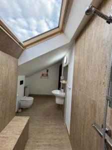 a bathroom with a toilet and a skylight at Vila Thomas in Sinaia +54 photos