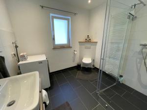a bathroom with a toilet and a sink and a shower at Bei Kleins in Nümbrecht
