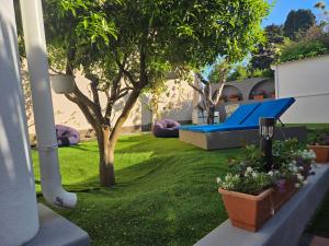 a garden with a blue bench and a tree at La Perla House in Anacapri