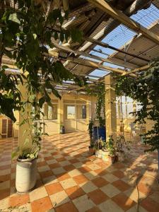 a greenhouse with plants in pots in a building at BOBY HOME STAY "BOBY MANSION" Jaipur in Jaipur