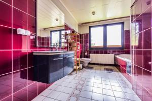 a pink bathroom with a tub and a toilet at Landhaus Brockenblick in Hohegeiß +26 photos