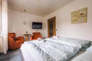 a bedroom with a large bed and a tv at Landhaus Brockenblick in Hohegeiß