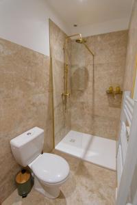 a bathroom with a toilet and a shower at Casa Verde in Saint-Chamond +1 photo