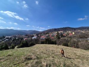 a person standing on top of a grassy hill at Willa Helena in Cisna +55 photos