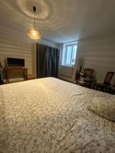 ein großes Bett in einem Zimmer mit Fenster in der Unterkunft Bugatti Chill in Moncé-en-Belin