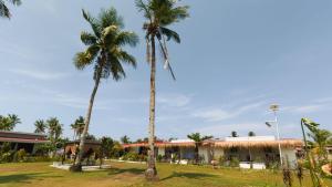 two palm trees in front of a building at Crespina Private House in General Luna