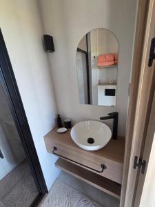 a bathroom with a sink and a mirror at La roseraie in Abbécourt
