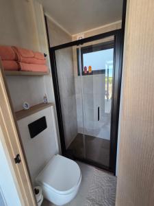 a small bathroom with a toilet and a shower at La roseraie in Abbécourt