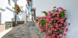 a street with pink flowers on a white wall at casa el nacimiento in Igualeja