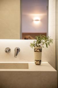 a plant in a vase sitting on a bathroom sink at Elena Hotel Mykonos in Mikonos +259 photos