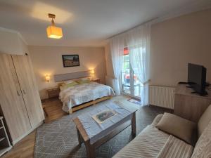 a bedroom with a bed and a couch and a tv at Willa Helena in Cisna