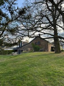 a large brick building in a field with a tree at HofZeit 1 in Mechernich