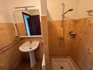 a bathroom with a sink and a shower at Maisonnette au centre de St Pierre in Saint-Pierre-dʼOléron
