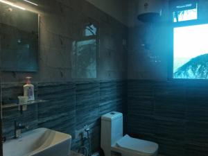 a bathroom with a white toilet and a sink at Bhindeshi Tara Stays Jibhi Mihar in Jibhi