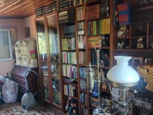 a room with a book shelf filled with books at Anastasia's Cottage in Oikhalía