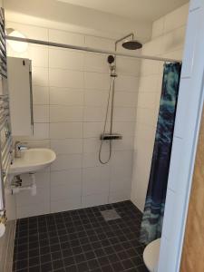 a bathroom with a shower and a sink at Bettan in Bruzaholm