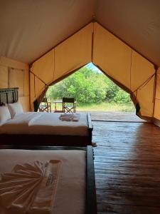 a tent with two beds in a room at Veilscape Mara Camp in Masai Mara