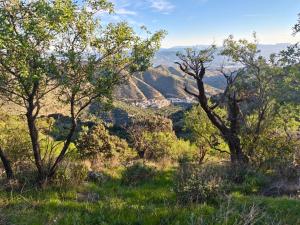 a view of the mountains from a hill with trees at Los Tumbaos - El Tumbao Hidromasaje entre roca natural in Laroya +6 photos