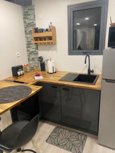 a kitchen with a sink and a counter at Moderne Lodge Tropical in Les Abymes
