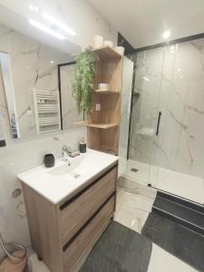 a bathroom with a sink and a shower at LA LIBELLULE de PROVENCE in Morières-lès-Avignon +13 photos