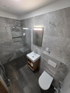 a bathroom with a toilet and a sink and a shower at hostINNec in Dolní Dvořiště