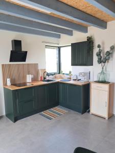a kitchen with a green island in a room at Reset w górach in Ponikwa