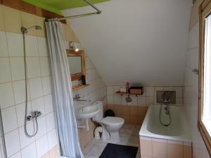 a bathroom with a sink and a toilet and a bath tub at Wilcze Schronisko in Czerniki +36 photos