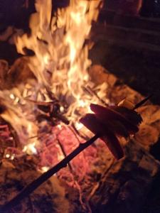 a bonfire with meat and flames in a grill at Cabana Drumetului Borzesti in Borzeşti