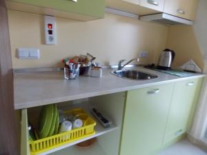 A kitchen or kitchenette at Apart Hotel Rosen