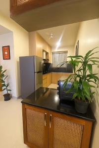 a kitchen with a refrigerator and plants on a counter at Cairo in Siolim