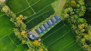 an aerial view of a house in a field at Ascarya Villa Ubud in Ubud