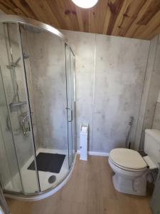 a bathroom with a shower and a toilet at Downside Annexe in Woolacombe +32 photos