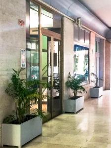 a lobby with potted plants in front of a door at Suiteincenter Rooms in Palermo