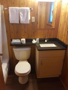 a bathroom with a toilet and a sink at Rundle Mountain Lodge in Canmore